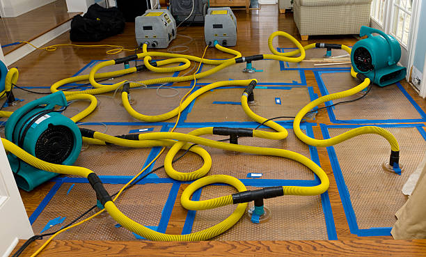 Professional Sewage Cleanup technician working in Makinen, MN